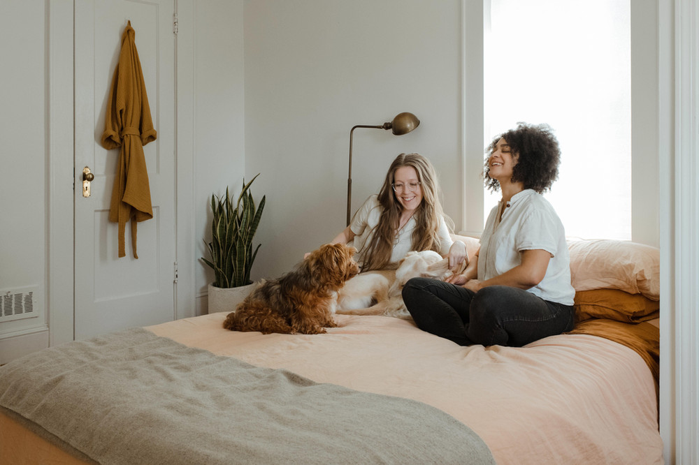 pets and owners on a bed