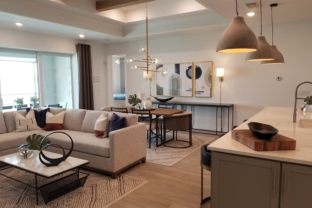 contemporary living room decor and furnishings