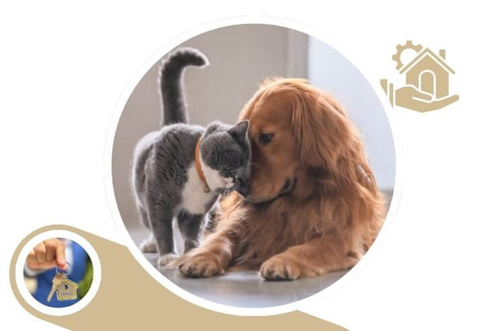 pets and property management