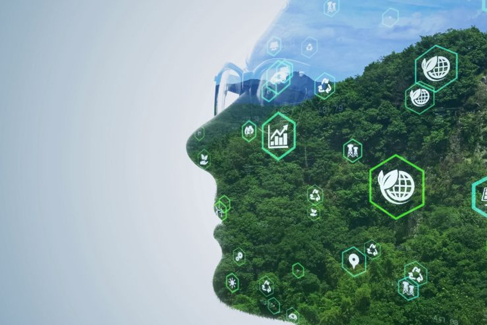 sustainability and ecology for real estate owners