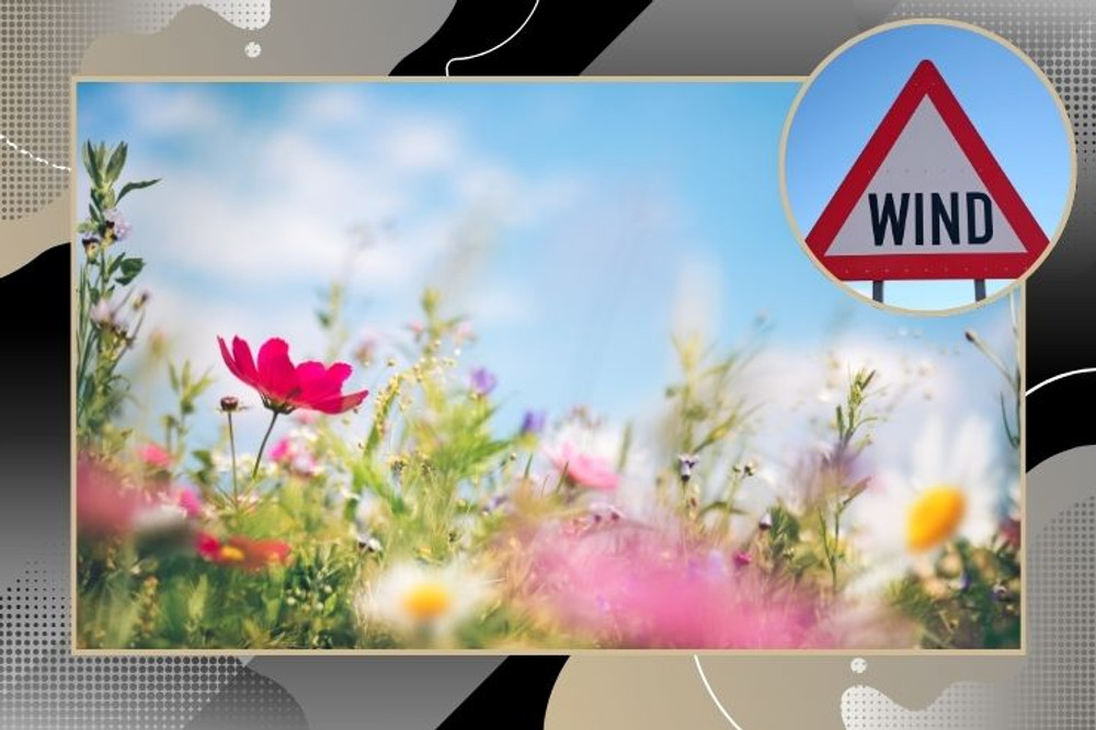 las vegas landscaping tips for rental owners